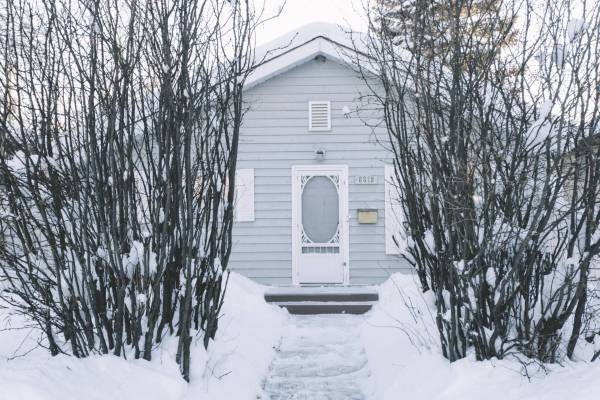 house-with-bushes-winter